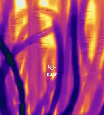 Screenshot Image of a server rack being examined with a thermal camera